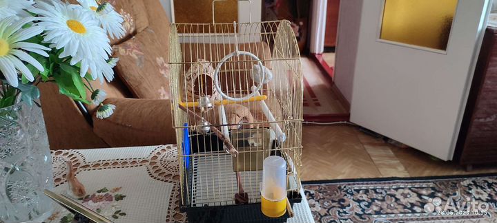 Клетка для птиц