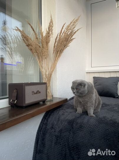 Блютуз ретро колонка OneDer