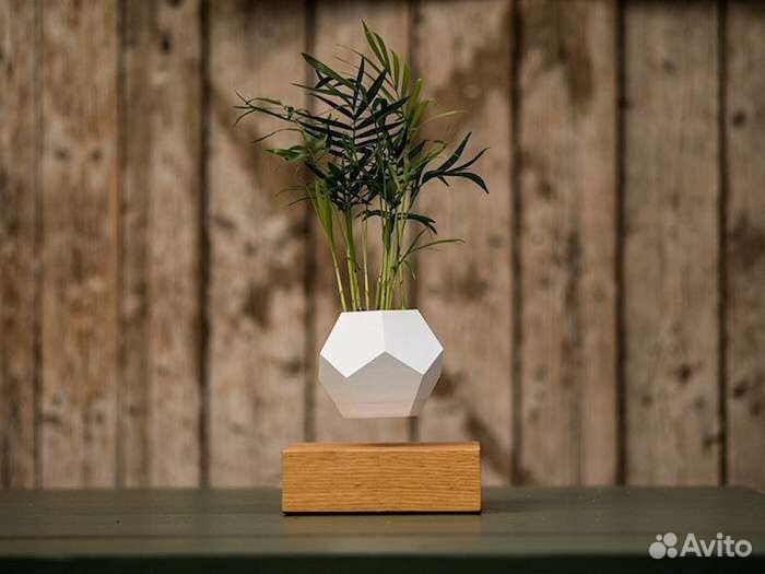 Левитирующий горшок lyfe