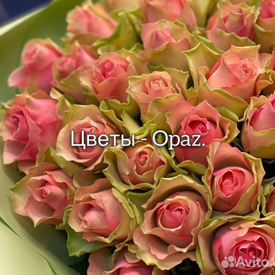 Букет из 51 розы