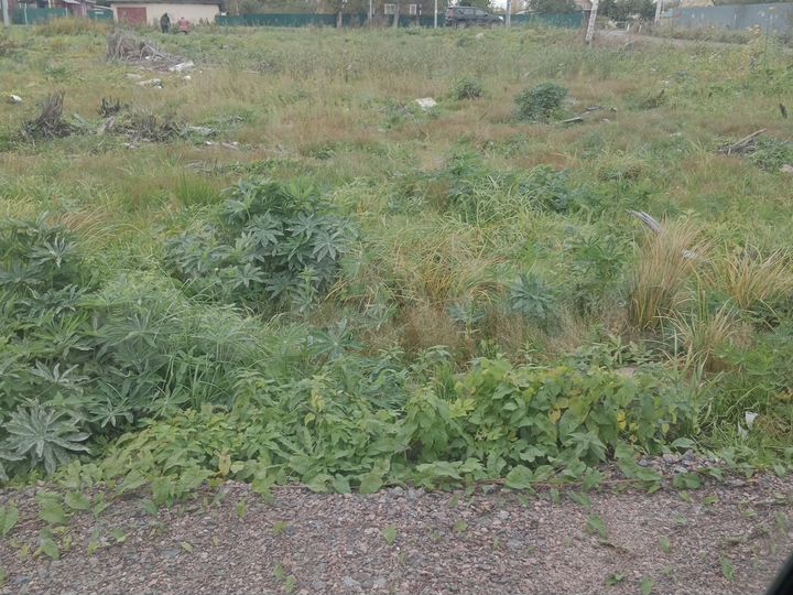 Участок 9 сот. (СНТ, ДНП)