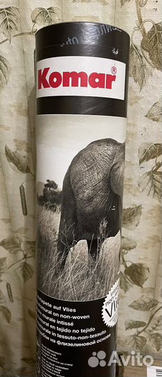 Фотообои Слон