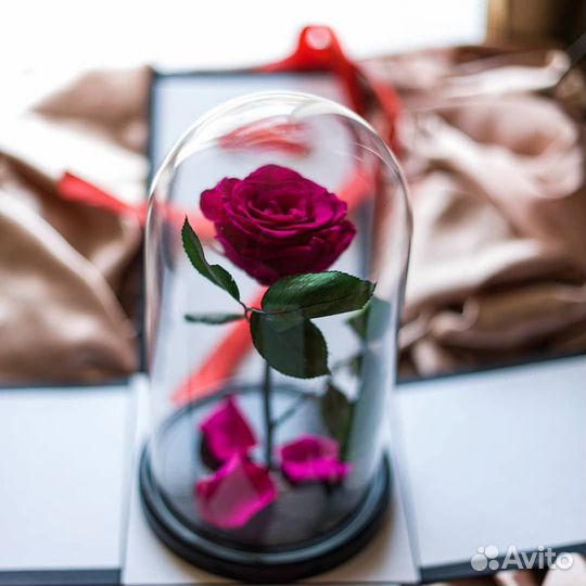 Роза в колбе. Много размеров