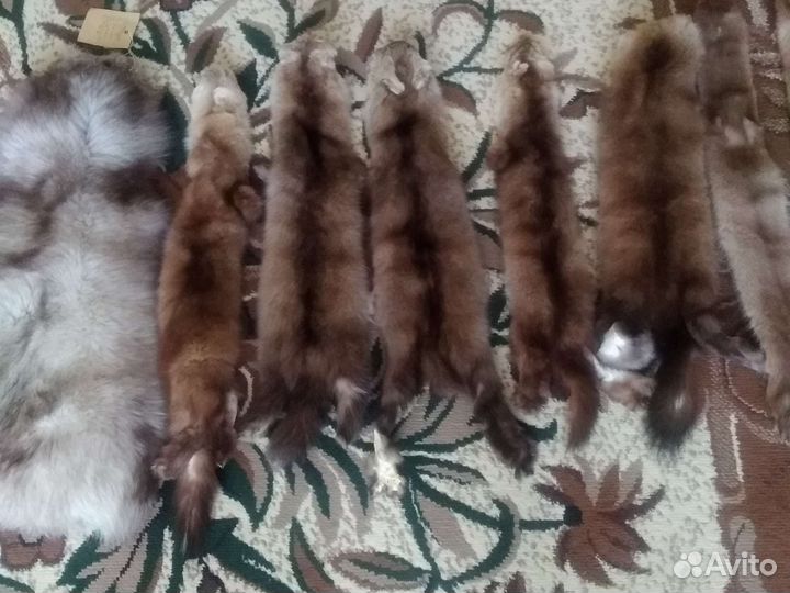 Сапоги