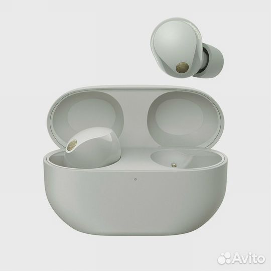 Наушники Sony WF-1000XM5 Silver