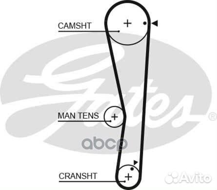 8597-15687) Ремень грм 5687XS Gates