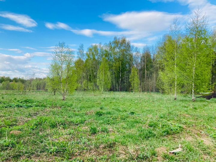 Участок 12 сот. (СНТ, ДНП)