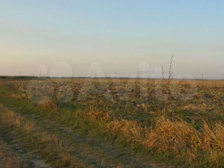 Участок 5 га (СНТ, ДНП)