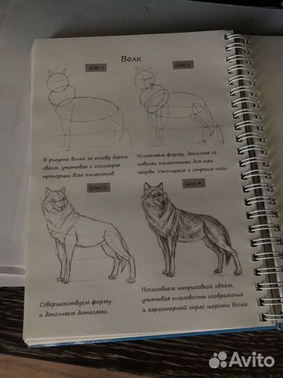 Книга по рисованию эскизов животных