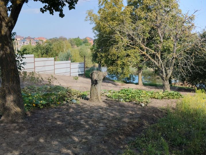 Участок 8 сот. (ИЖС)