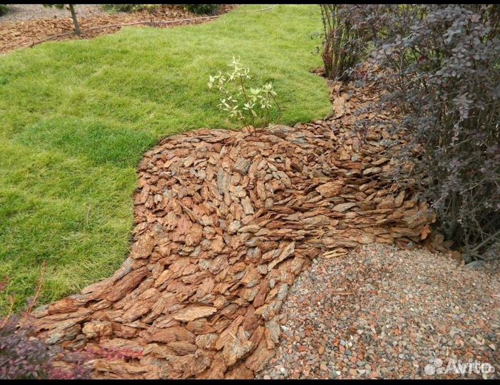 Кора сосновая