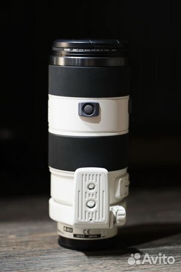 Sony 70-200 мм F2.8 G SSM (SAL70200G) Sony A