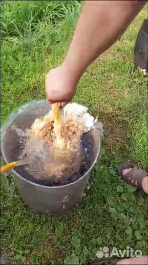 Воск для удаления пера птицы