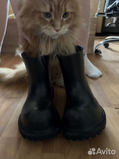 Balenciaga steroid на руках