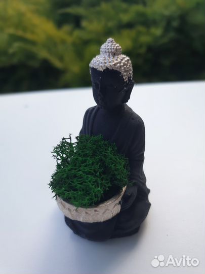 Кашпо будда со мхом
