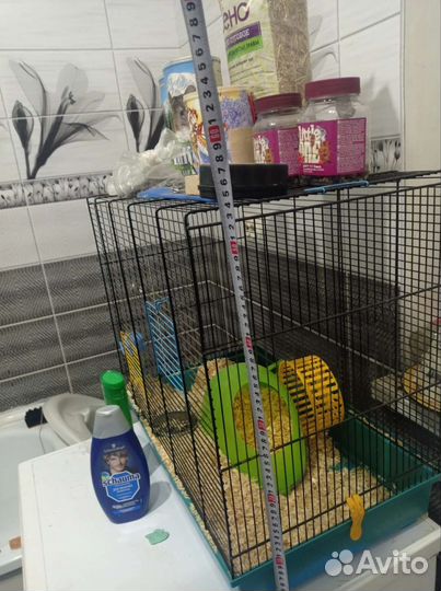 Клетка для крупных грызунов