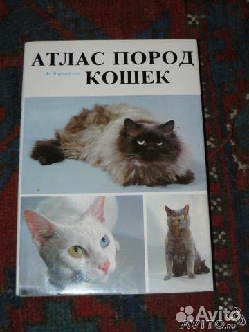 Атлас пород кошек Ян Варжейчко