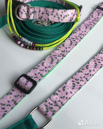 Шлейка, ошейник, поводок