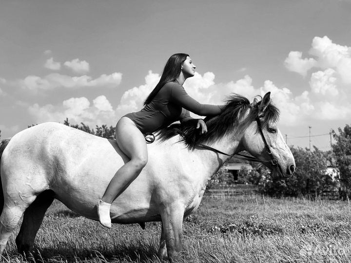 Прогулки на лошадях