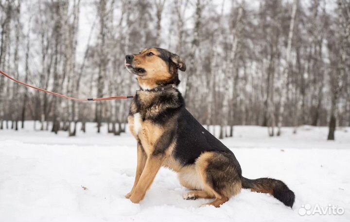 Лия хочет быть любимой