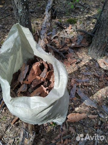 Мульча кора