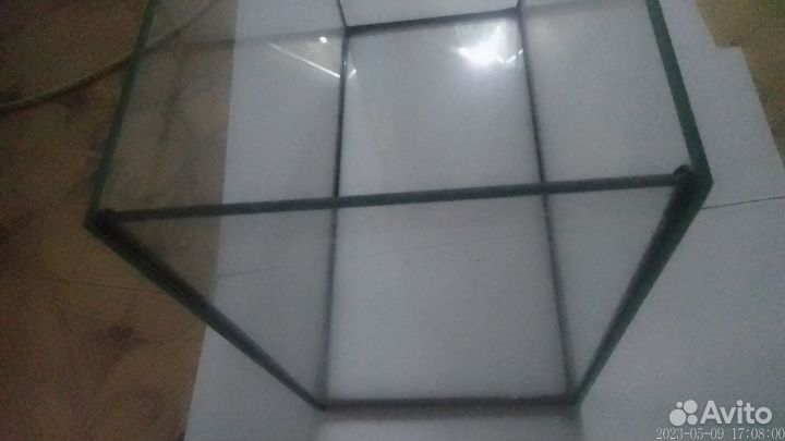 Аквариум 15л, растение