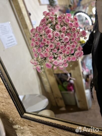 Кустовая роза букет доставка 15 25 51 101