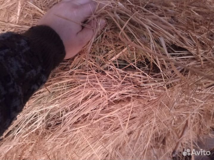 Сено в рулонах