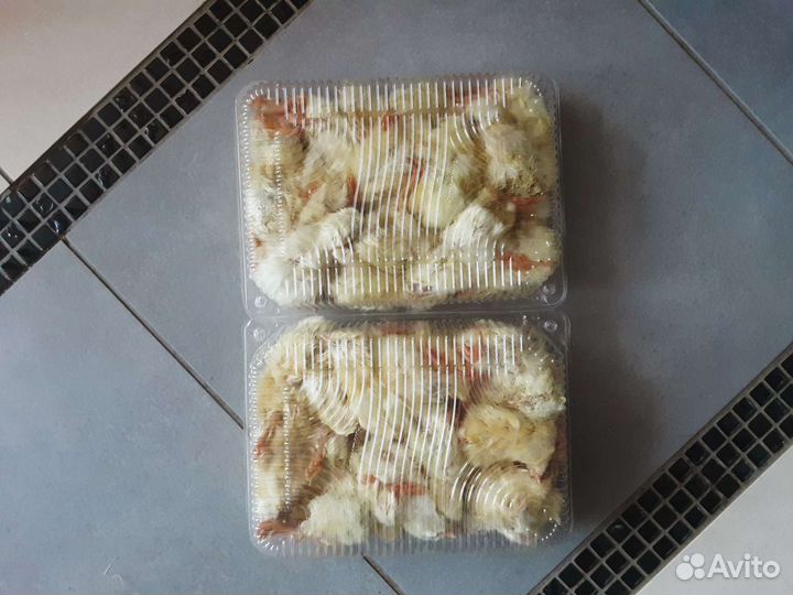 Цыплята суточные фабричные кормовые замороженные