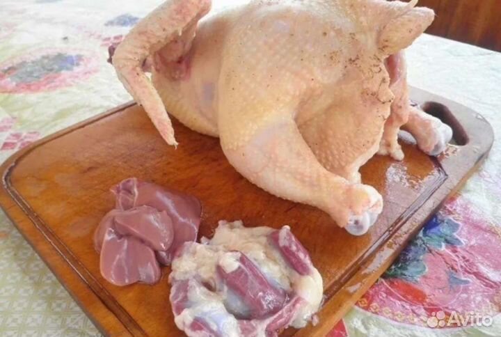 Мясо домашнего бройлера и утки