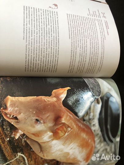 Мужская кулинария. А.Макаревич