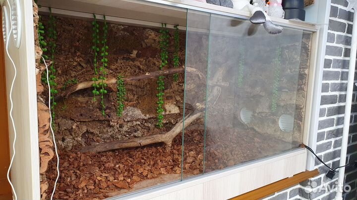 Террариум для змеи