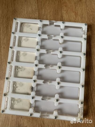 Формикарий