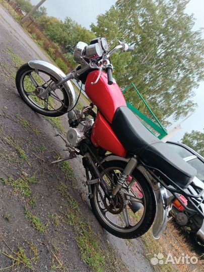 Рэйсер альфа