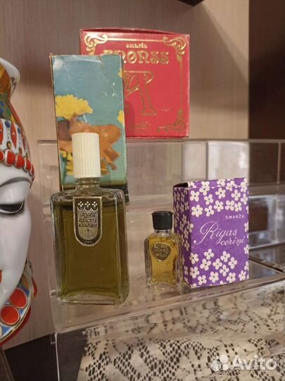 Кредо Контакт Мистика Цветы Кубани,Черный Нарцисс