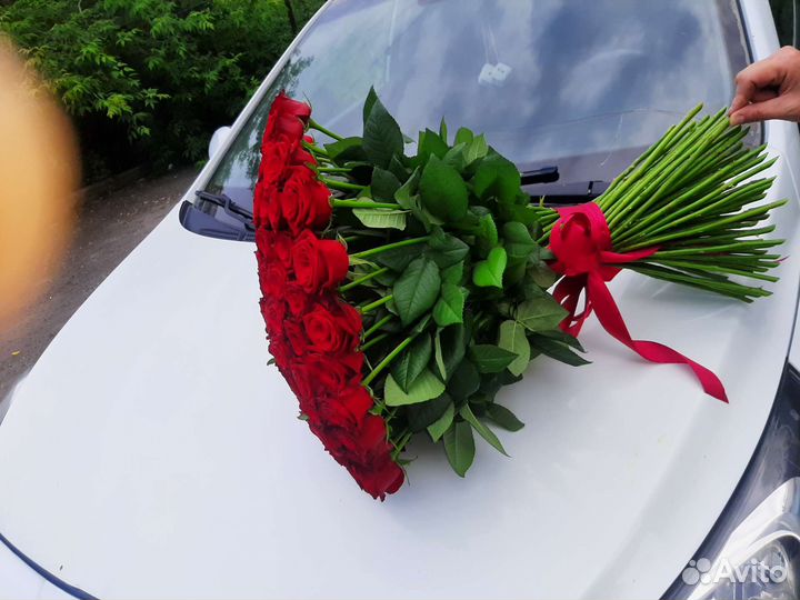 Свежие розы 