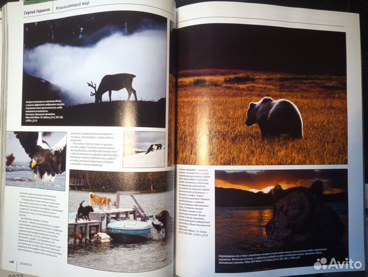 Журнал ZOO фото зоофото 2008 г