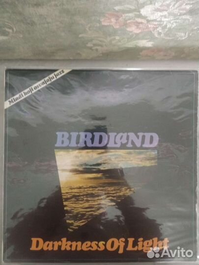 Пластинка BirdLand Darknezz Of Light