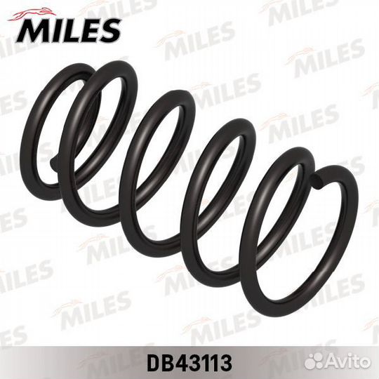 Задняя пружина