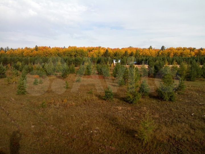 Участок 1,25 га (ИЖС)