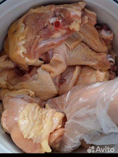 Куры домашние халяль