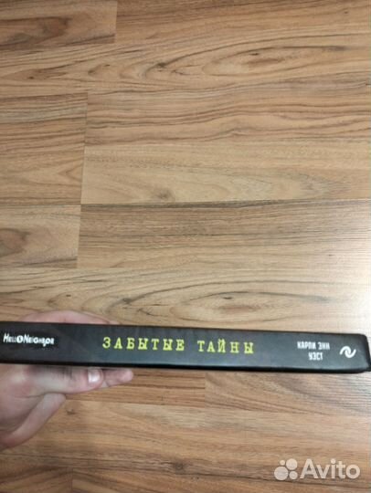 Hello neighbor книга забытые тайны