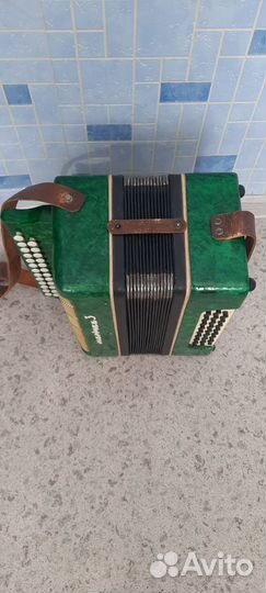 Гармонь Маричка-3