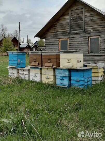 Улей для пчел бу и рамки