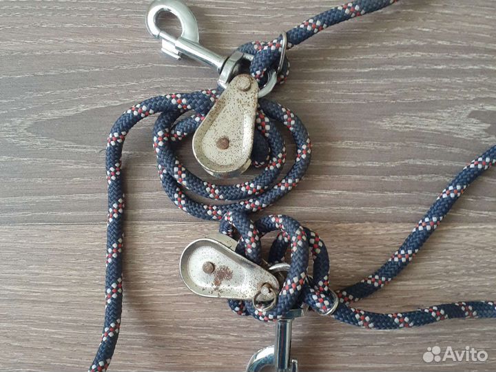 Шлея пессоа