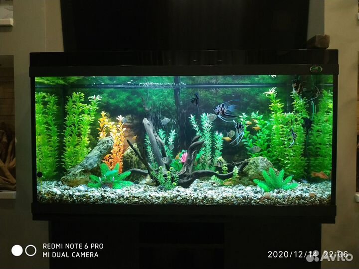 Обслуживание аквариумов