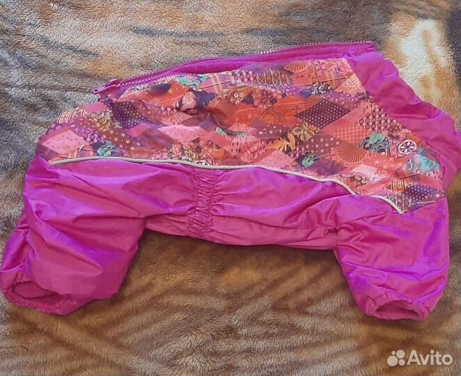 Одежда и обувь для собак