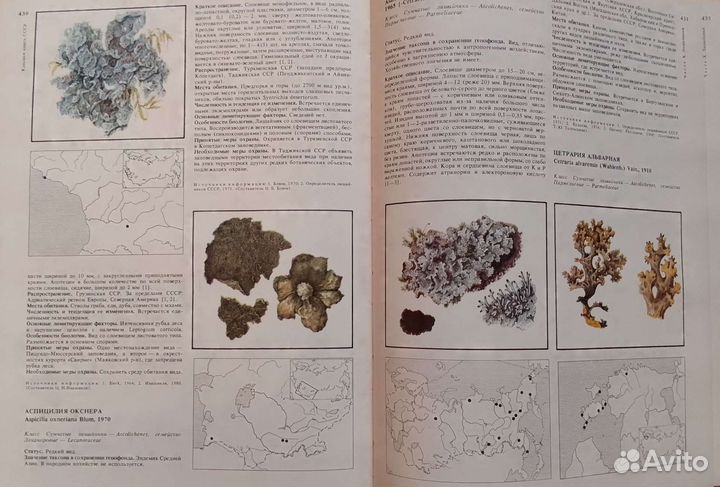 Красная книга