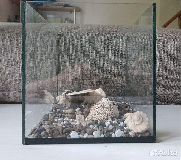 Аквариум 10 литров