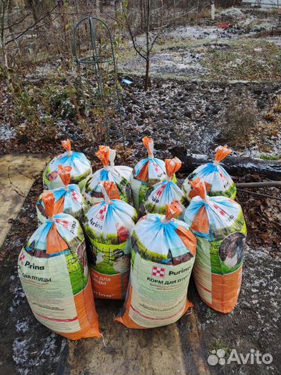 Перепелиный помет